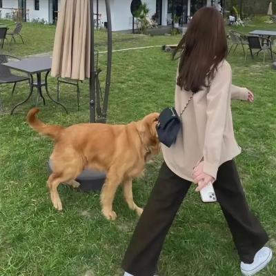 盛夏汁爱